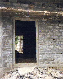 House with RCC frame