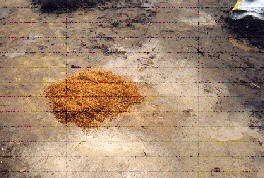Rice husk measurement