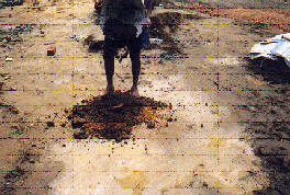 Mud added to husk